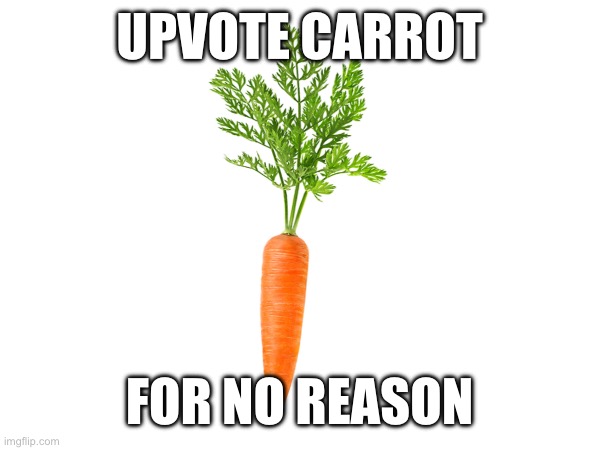 Carrot | UPVOTE CARROT; FOR NO REASON | image tagged in food | made w/ Imgflip meme maker