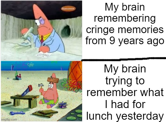 why brain | My brain remembering cringe memories from 9 years ago; My brain trying to remember what I had for lunch yesterday | image tagged in why,why are you reading this | made w/ Imgflip meme maker