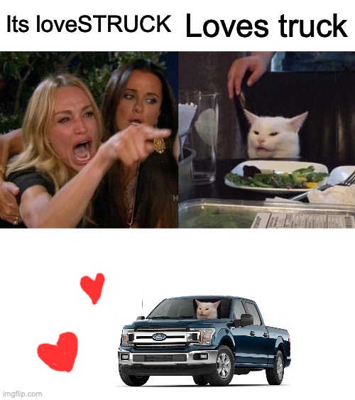 I read the word like this at first | Its loveSTRUCK; Loves truck | image tagged in memes,woman yelling at cat | made w/ Imgflip meme maker