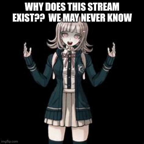 WHY DOES THIS STREAM EXIST??  WE MAY NEVER KNOW | made w/ Imgflip meme maker