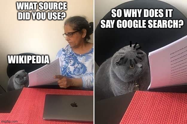 Very Relatable | WHAT SOURCE DID YOU USE? SO WHY DOES IT SAY GOOGLE SEARCH? WIKIPEDIA | image tagged in woman showing paper to cat,relatable,memes,fresh memes,fun,cats | made w/ Imgflip meme maker