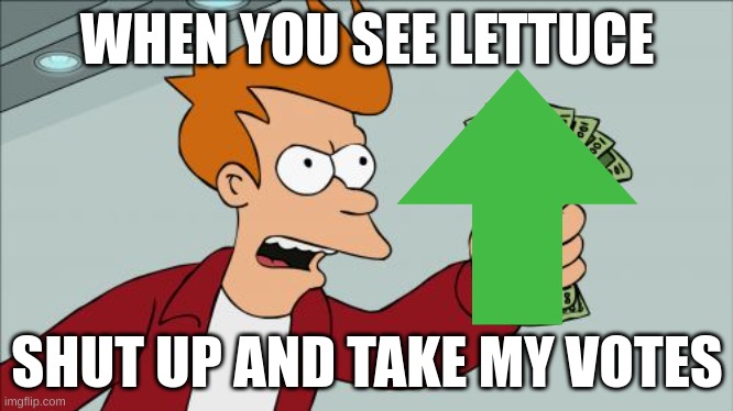 Shut Up And Take My Money Fry |  WHEN YOU SEE LETTUCE; SHUT UP AND TAKE MY VOTES | image tagged in memes,shut up and take my money fry | made w/ Imgflip meme maker