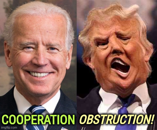 And that's why one is different from the other. | OBSTRUCTION! COOPERATION | image tagged in biden solid stable trump acid drugs,biden,law,trump,criminal | made w/ Imgflip meme maker