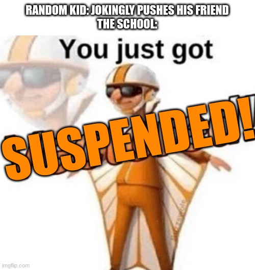 it happened to my friend and his friend 2 days ago lol |  RANDOM KID: JOKINGLY PUSHES HIS FRIEND
THE SCHOOL:; SUSPENDED! | image tagged in you just got vectored | made w/ Imgflip meme maker