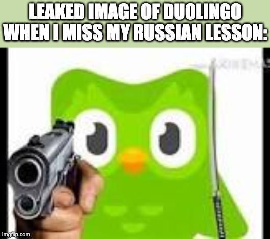 Oh no, I missed my Russian Lesson... | LEAKED IMAGE OF DUOLINGO WHEN I MISS MY RUSSIAN LESSON: | image tagged in doulingo holding a gun,memes,duolingo,funny,russian,duolingo bird | made w/ Imgflip meme maker