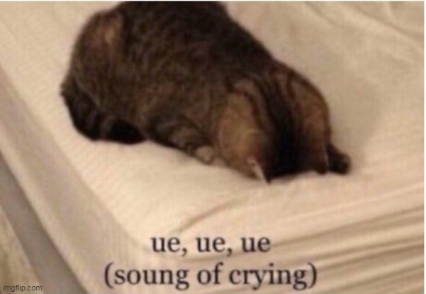 ue ue ue sound of crying | image tagged in ue ue ue sound of crying | made w/ Imgflip meme maker