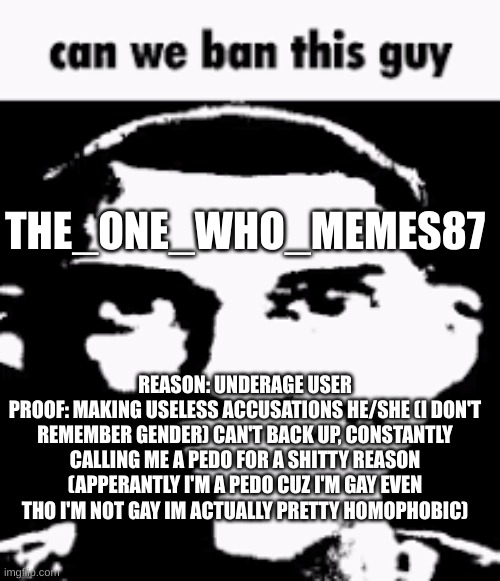 So...can we? idk this is my first time asking to ban someone im normally chill(ish) | THE_ONE_WHO_MEMES87; REASON: UNDERAGE USER
PROOF: MAKING USELESS ACCUSATIONS HE/SHE (I DON'T REMEMBER GENDER) CAN'T BACK UP, CONSTANTLY CALLING ME A PEDO FOR A SHITTY REASON (APPERANTLY I'M A PEDO CUZ I'M GAY EVEN THO I'M NOT GAY IM ACTUALLY PRETTY HOMOPHOBIC) | image tagged in can we ban this guy | made w/ Imgflip meme maker