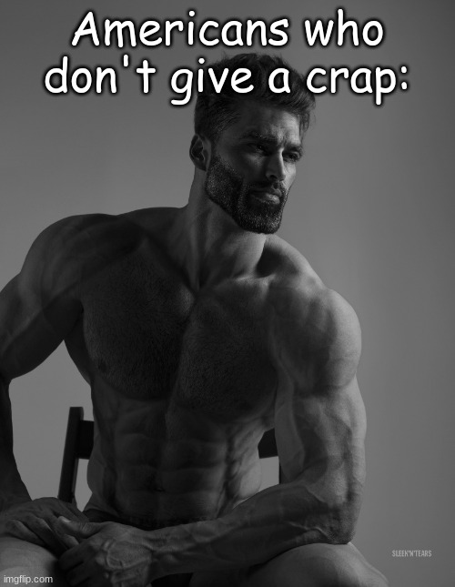 Giga Chad | Americans who don't give a crap: | image tagged in giga chad | made w/ Imgflip meme maker