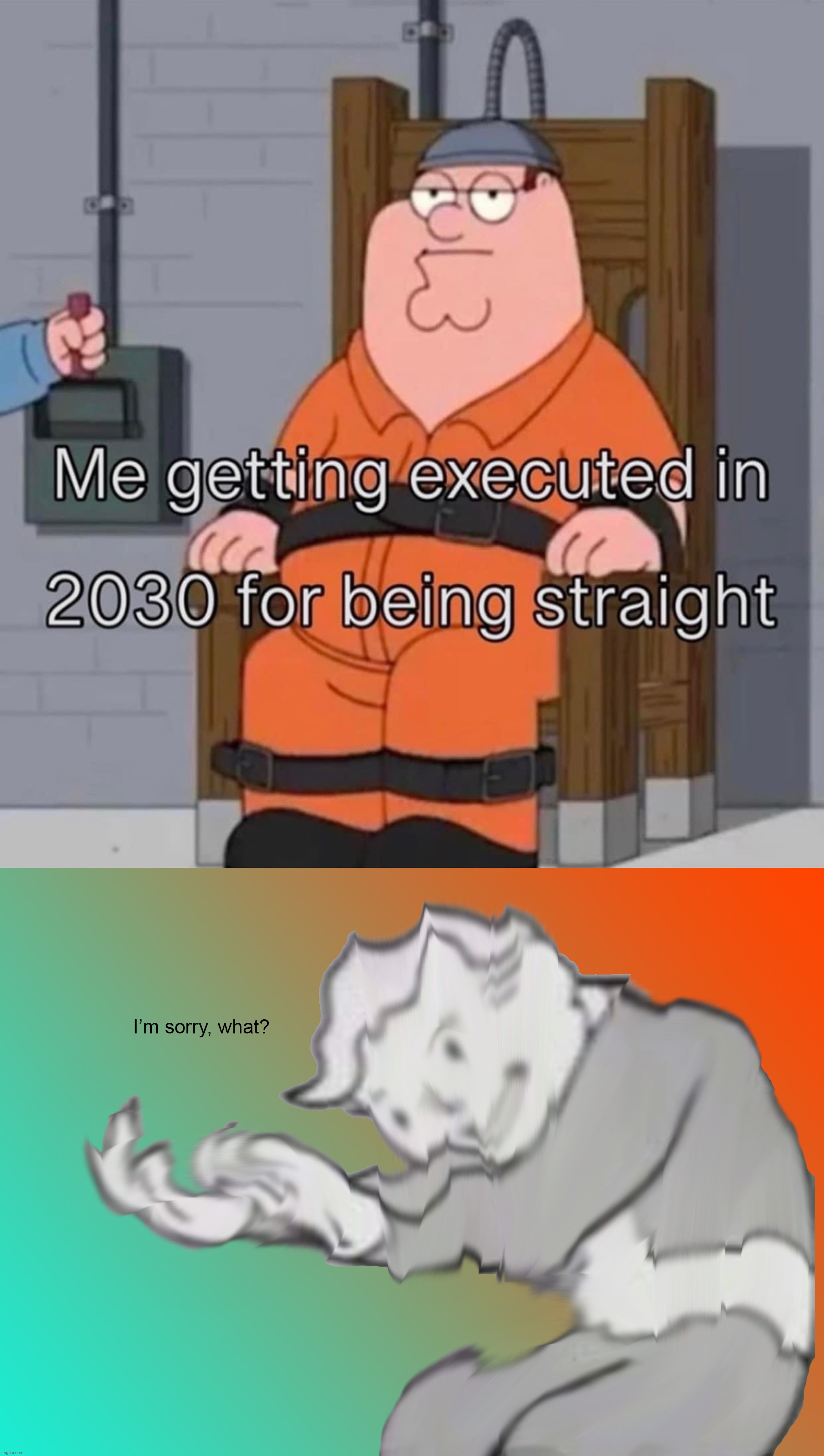 image tagged in me being executed for being straight,i'm sorry what | made w/ Imgflip meme maker