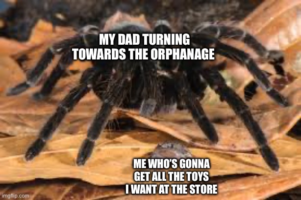 “Yes son, all the toys you want” | MY DAD TURNING TOWARDS THE ORPHANAGE; ME WHO’S GONNA GET ALL THE TOYS I WANT AT THE STORE | image tagged in spider and frog | made w/ Imgflip meme maker