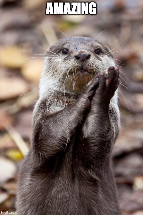 Slow-Clap Otter | AMAZING | image tagged in slow-clap otter | made w/ Imgflip meme maker