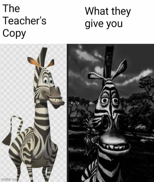 image tagged in memes,repost,funny,school,teacher's copy,madagascar | made w/ Imgflip meme maker