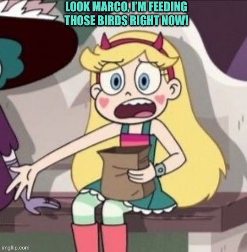 Star had to Feed those birds | LOOK MARCO, I’M FEEDING THOSE BIRDS RIGHT NOW! | image tagged in svtfoe,star butterfly,star vs the forces of evil,birds,memes,funny | made w/ Imgflip meme maker