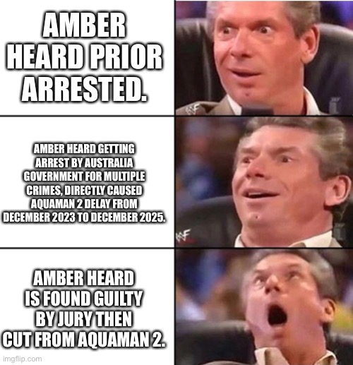 Amber Heard | AMBER HEARD PRIOR ARRESTED. AMBER HEARD GETTING ARREST BY AUSTRALIA GOVERNMENT FOR MULTIPLE CRIMES, DIRECTLY CAUSED AQUAMAN 2 DELAY FROM DECEMBER 2023 TO DECEMBER 2025. AMBER HEARD IS FOUND GUILTY BY JURY THEN CUT FROM AQUAMAN 2. | image tagged in vince mcmahon | made w/ Imgflip meme maker