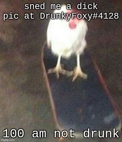 Dog on skateboard | sned me a dick pic at DrunkyFoxy#4128; 100 am not drunk | image tagged in dog on skateboard | made w/ Imgflip meme maker