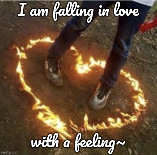 Fire love | I am falling in love; with a feeling~ | image tagged in fire love | made w/ Imgflip meme maker