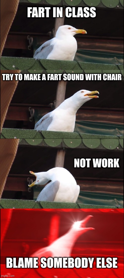 Inhaling Seagull | FART IN CLASS; TRY TO MAKE A FART SOUND WITH CHAIR; NOT WORK; BLAME SOMEBODY ELSE | image tagged in memes,inhaling seagull | made w/ Imgflip meme maker