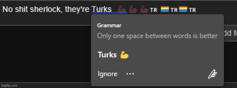 Racist Spell Checker | made w/ Imgflip meme maker