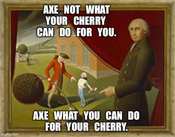 George Washington Cherry Tree | AXE   NOT   WHAT 
YOUR   CHERRY   CAN   DO   FOR   YOU. AXE   WHAT   YOU   CAN   DO 
FOR   YOUR   CHERRY. | image tagged in george washington cherry tree | made w/ Imgflip meme maker