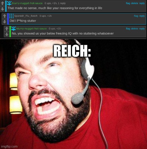 rekt | REICH: | image tagged in nerd rage,tyrannosaurus rekt | made w/ Imgflip meme maker