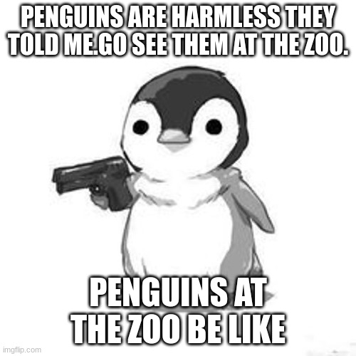 Penguin Holding Gun | PENGUINS ARE HARMLESS THEY TOLD ME.GO SEE THEM AT THE ZOO. PENGUINS AT THE ZOO BE LIKE | image tagged in penguin holding gun | made w/ Imgflip meme maker