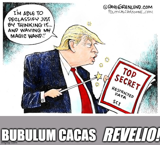 REVELIO! BUBULUM CACAS | made w/ Imgflip meme maker