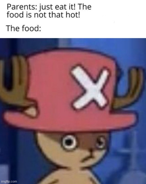 choppa | image tagged in the food is not that hot,anime,one piece | made w/ Imgflip meme maker