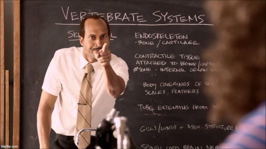 Key and Peele Substitute Teacher | image tagged in key and peele substitute teacher | made w/ Imgflip meme maker