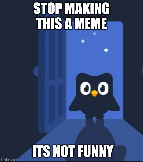 weak small green bird | STOP MAKING THIS A MEME; ITS NOT FUNNY | image tagged in duolingo bird | made w/ Imgflip meme maker