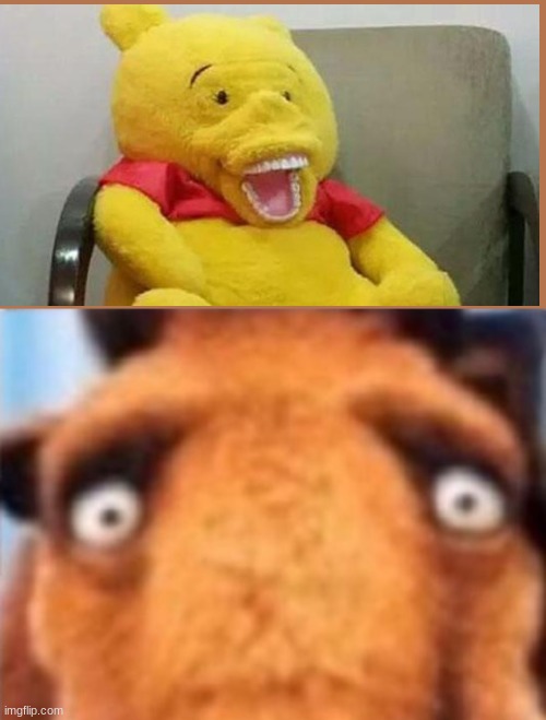 winnie the pooh when he turns his head and the snapchat filter goes away: | image tagged in distressed manfred,winnie the pooh | made w/ Imgflip meme maker