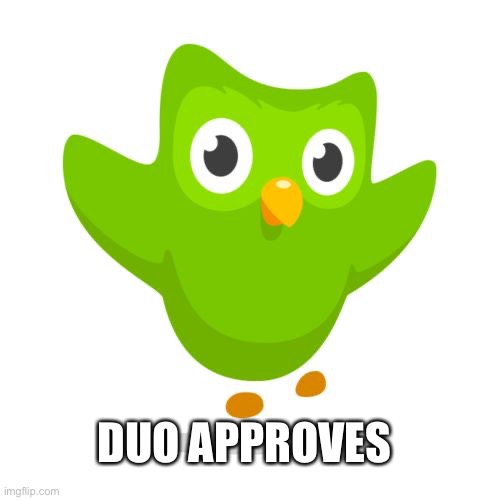 things duolingo teaches you | DUO APPROVES | image tagged in things duolingo teaches you | made w/ Imgflip meme maker