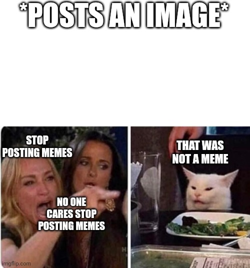 Dumb Meme #81 | *POSTS AN IMAGE*; STOP POSTING MEMES; THAT WAS NOT A MEME; NO ONE CARES STOP POSTING MEMES | image tagged in lady screams at cat | made w/ Imgflip meme maker