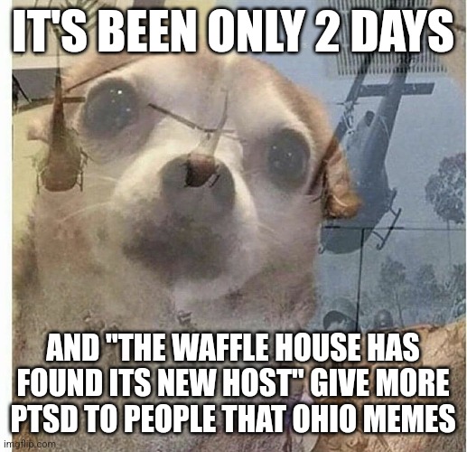 Wow, that was quick | IT'S BEEN ONLY 2 DAYS; AND "THE WAFFLE HOUSE HAS FOUND ITS NEW HOST" GIVE MORE PTSD TO PEOPLE THAT OHIO MEMES | image tagged in ptsd chihuahua,waffle house,ohio,people who don't know vs people who know,memes | made w/ Imgflip meme maker