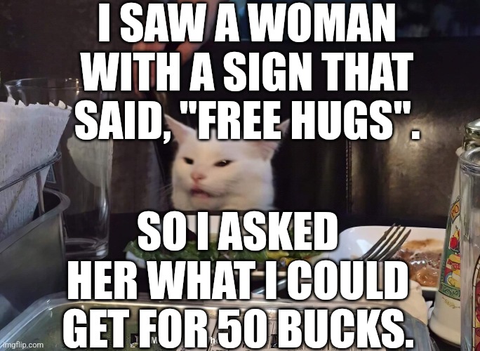 I SAW A WOMAN WITH A SIGN THAT SAID, "FREE HUGS". SO I ASKED HER WHAT I COULD GET FOR 50 BUCKS. | image tagged in smudge the cat | made w/ Imgflip meme maker