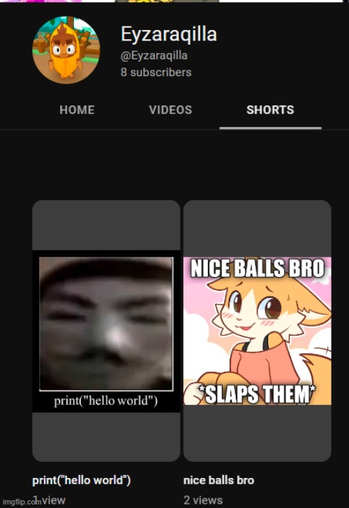 why did my video get into shorts bro | made w/ Imgflip meme maker