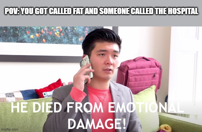 he died of emotional damage | POV: YOU GOT CALLED FAT AND SOMEONE CALLED THE HOSPITAL | image tagged in he died from emotional damage | made w/ Imgflip meme maker