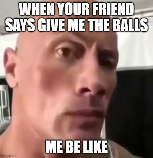 balls | WHEN YOUR FRIEND SAYS GIVE ME THE BALLS; ME BE LIKE | image tagged in the rock eyebrows | made w/ Imgflip meme maker
