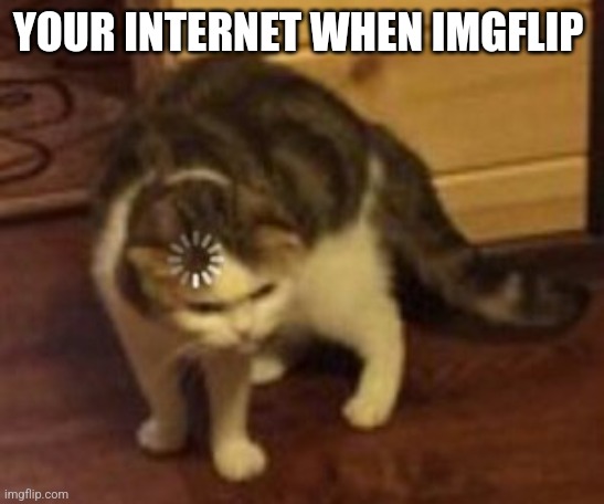 Loading cat | YOUR INTERNET WHEN IMGFLIP | image tagged in loading cat | made w/ Imgflip meme maker