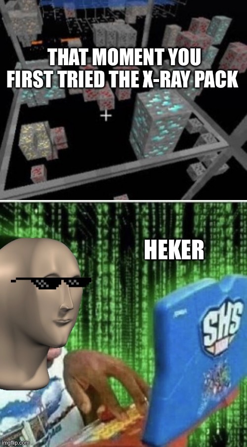 THAT MOMENT YOU FIRST TRIED THE X-RAY PACK; HEKER | image tagged in x ray minecraft,hakr | made w/ Imgflip meme maker