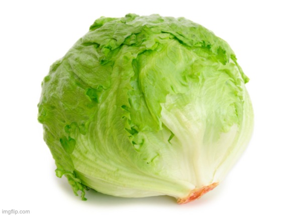 ICEU | image tagged in lettuce | made w/ Imgflip meme maker