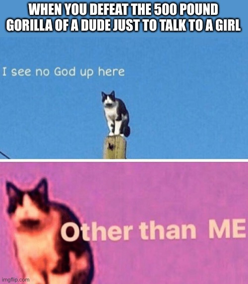 Yes | WHEN YOU DEFEAT THE 500 POUND GORILLA OF A DUDE JUST TO TALK TO A GIRL | image tagged in hail pole cat,funny,memes | made w/ Imgflip meme maker