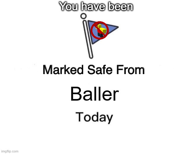 You are welcome | You have been; Baller | image tagged in memes,marked safe from | made w/ Imgflip meme maker