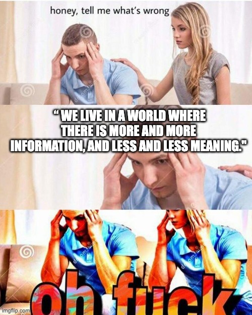 honey, tell me what's wrong | “ WE LIVE IN A WORLD WHERE THERE IS MORE AND MORE INFORMATION, AND LESS AND LESS MEANING." | image tagged in honey tell me what's wrong | made w/ Imgflip meme maker