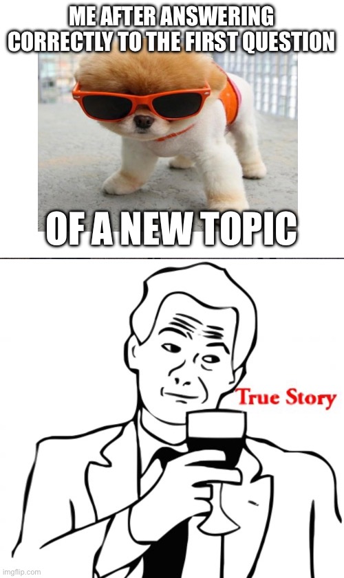 Please leave a downvote | ME AFTER ANSWERING CORRECTLY TO THE FIRST QUESTION; OF A NEW TOPIC | image tagged in true story bro,funny dogs | made w/ Imgflip meme maker