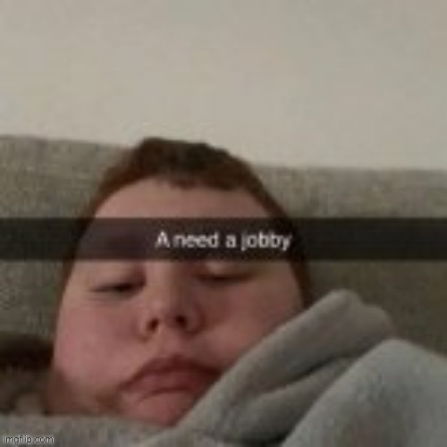 a need a jobby | image tagged in a need a jobby | made w/ Imgflip meme maker