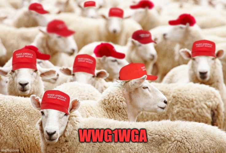 Trump MAGA sheep | WWG1WGA | image tagged in trump maga sheep | made w/ Imgflip meme maker
