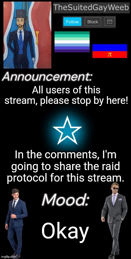 I'm Setting Up Raid Protocols For The Stream If We Get Raided | All users of this stream, please stop by here! In the comments, I'm going to share the raid protocol for this stream. Okay | image tagged in thesuitedgayweeb s announcement temp | made w/ Imgflip meme maker