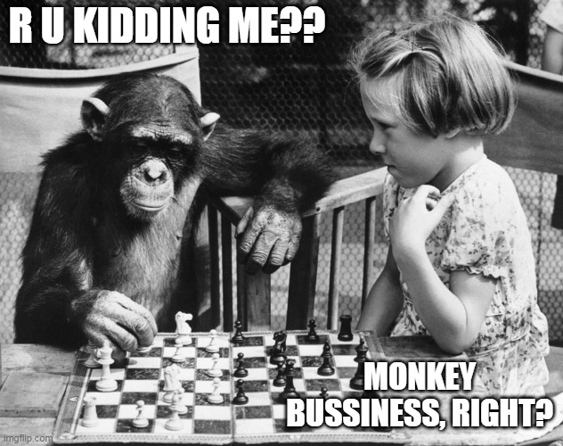 Chess  Chimp  Girl | R U KIDDING ME?? MONKEY BUSSINESS, RIGHT? | image tagged in chess chimp girl | made w/ Imgflip meme maker