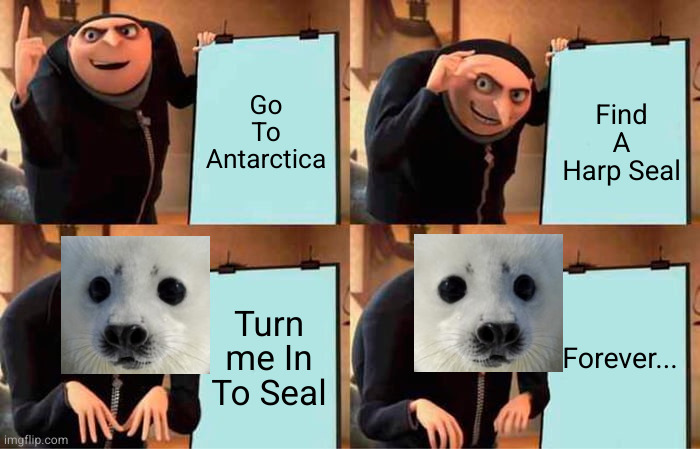 Gru The Seal | Go To Antarctica; Find A Harp Seal; Turn me In To Seal; Forever... | image tagged in memes,gru's plan,harp seal | made w/ Imgflip meme maker