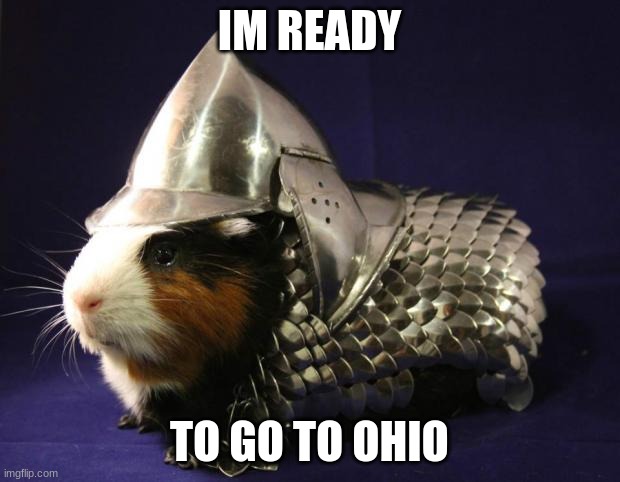 ohio meme | IM READY; TO GO TO OHIO | image tagged in guinea pig | made w/ Imgflip meme maker